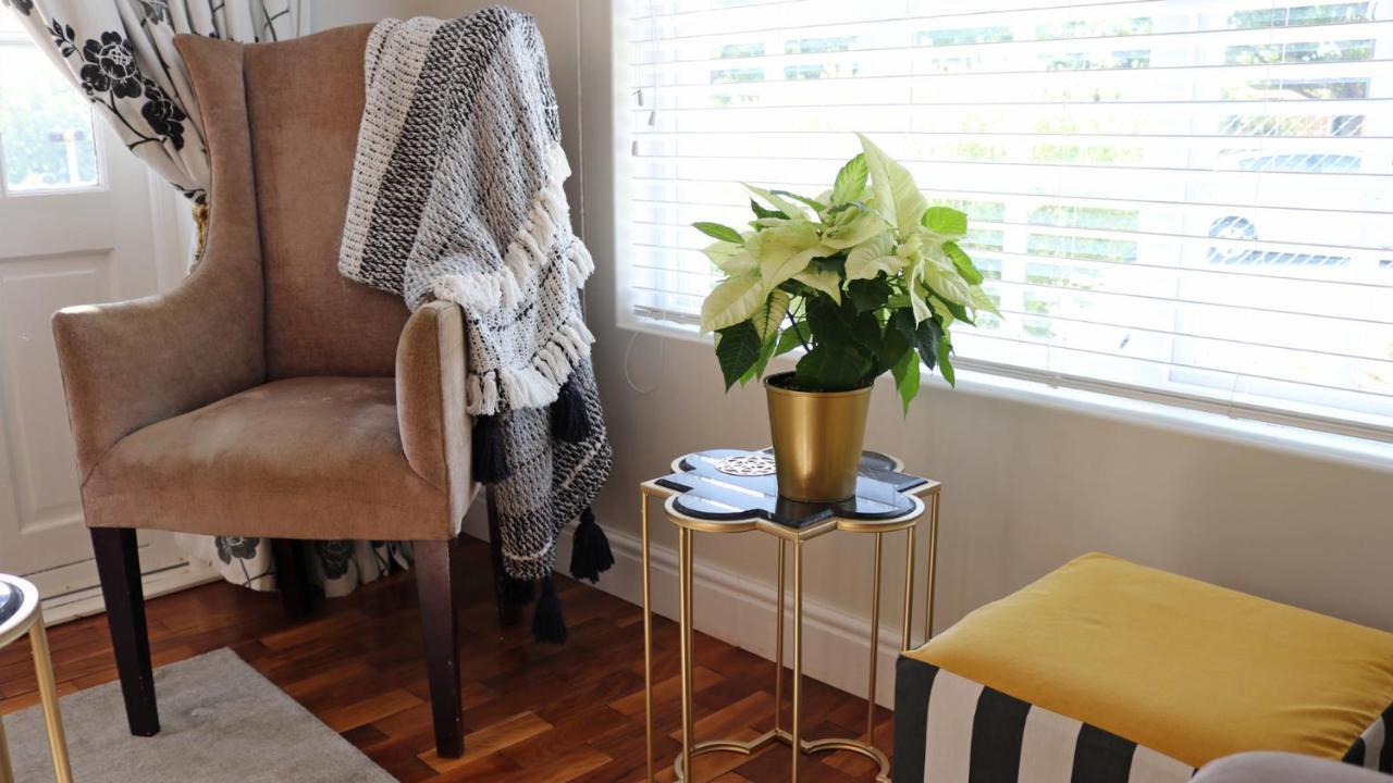 Daisy Place Franschhoek Extérieur photo